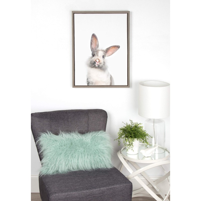 Kate and Laurel Sylvie Young Rabbit Framed Canvas by Amy