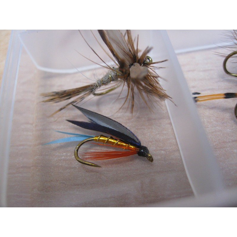 BestCity Fly Fishing for Trout BARBLESS MIXED SEASON SELECTION 20