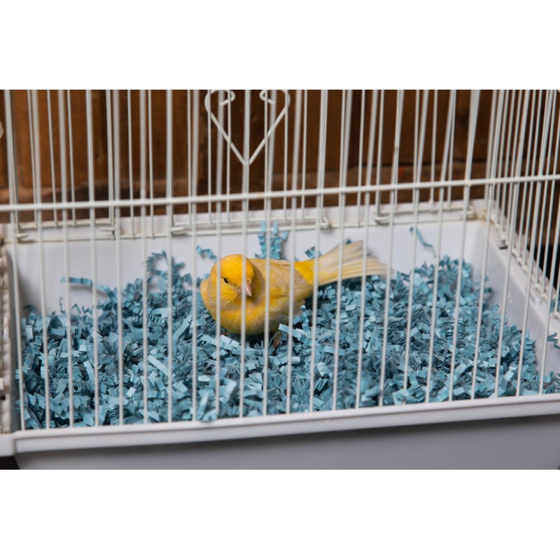 ECO BEDDING 99% Dust Free Paper Bedding for Small Pets