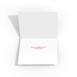 Stonehouse Collection | Airplane Christmas Cards | Baggage Claim Funny Christmas Card | 18 Cards & Envelopes