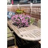 Solid Teak Wood Trellis 24 inches Wide x 36 inches