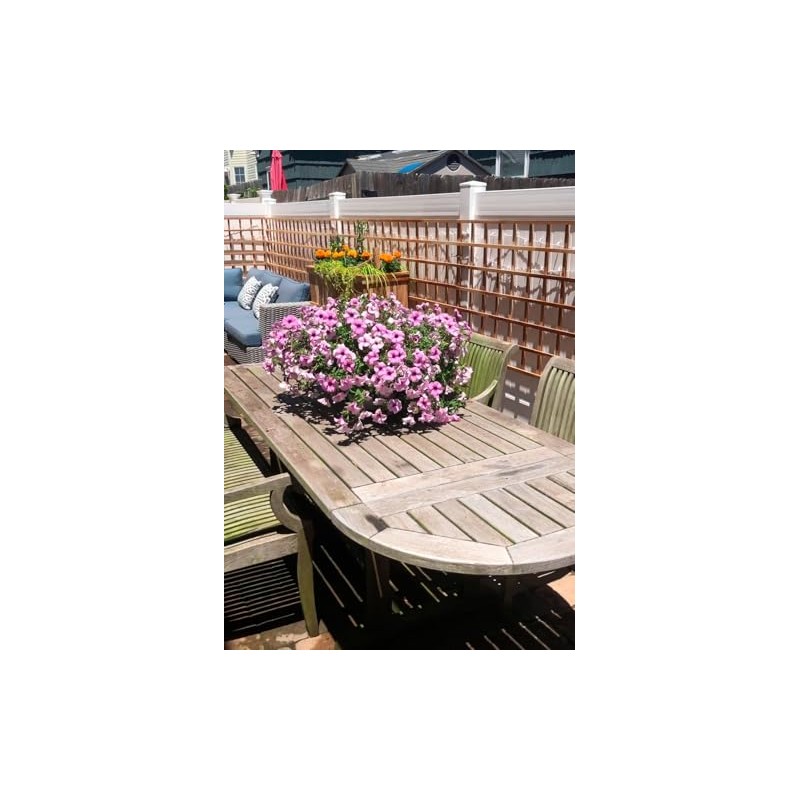 Solid Teak Wood Trellis 24 inches Wide x 36 inches