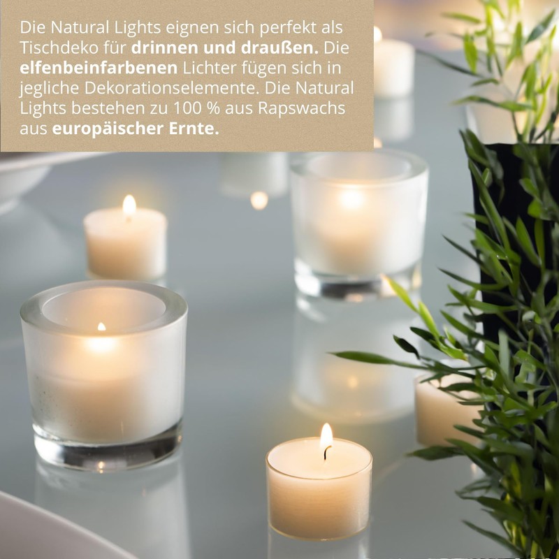 Wenzel Tea Lights 10 Hours - Set of 40 Vegan