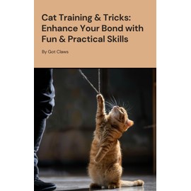  Cat Training and Tricks: Enhance Your Bond with Fun and Practical Skills