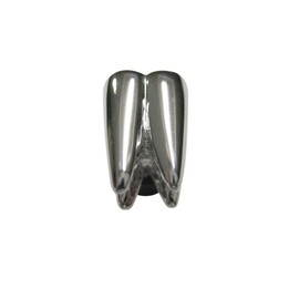 Kiola Designs Silver Toned Shiny Dental Tooth Teeth Magnet