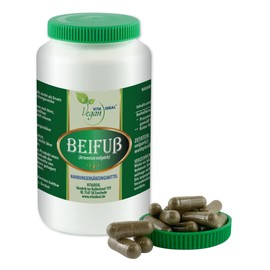 VITA IDEAL Vegan® Artimisia vulgaris Herb 360 Capsules Daily Serving 600 mg Mugwort Pure Powder Natural, Vegetable and No Additives