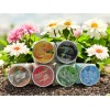 Exfoliante corporal y facial aromático de 350g con texturas cremosas