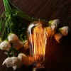 CTKcom Vintage Edison Light Bulbs - 2 Pack, 40W ST58