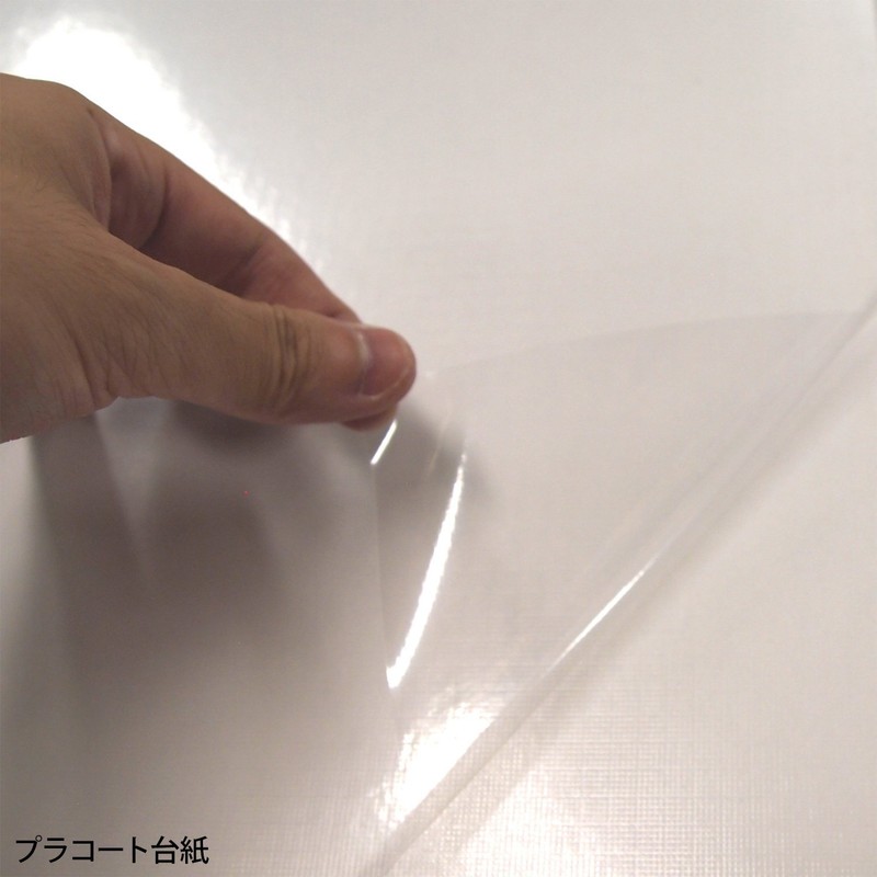 ナカバヤシ ファイル デジタルフリーアルバム Praffine A4 ブルー ア-A4P-164-B