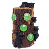 Pine Ridge Black Bear K Cup Holders for Counter Kitchen