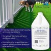 BioTurf BioS+ Turf Cleaner for Pet Urine Outdoor – Artificial