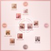 3CE Multi Eye Color Palette K Rosie Muly