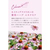 Argital Intensive Echinacea Cream Mini, 0.3 fl oz (10 ml)