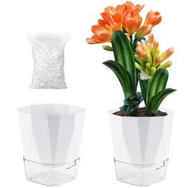 2 Pack Self Watering Plant Pots 8.4 Inches Self Watering Planters for Indoor and Outdoor Plants African Violet Self Watering Pots Clear Pots for Plants Large Herb Orchid Flower Houseplant Pots, White