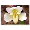 Orchid - A Flower Wonder (Wall Calendar 2026 DIN A3