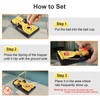 【2025 Upgraded Version】 Mouse Traps 6-Pack, Large Mouse Trap Indoor