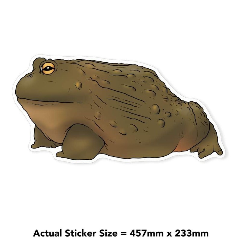 Extra Large 460mm 'African Bullfrog' Permanent Sticker Decal for Cars/Windows/Bins/Walls