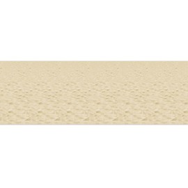 Beach Backdrop Party Accessory