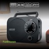 Muse M-050 R Portable AM/FM Radio with Aux Input