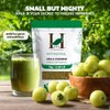 H&C HERBAL INGREDIENTS EXPERT H&C 100% Natural Amla Powder (Emblica