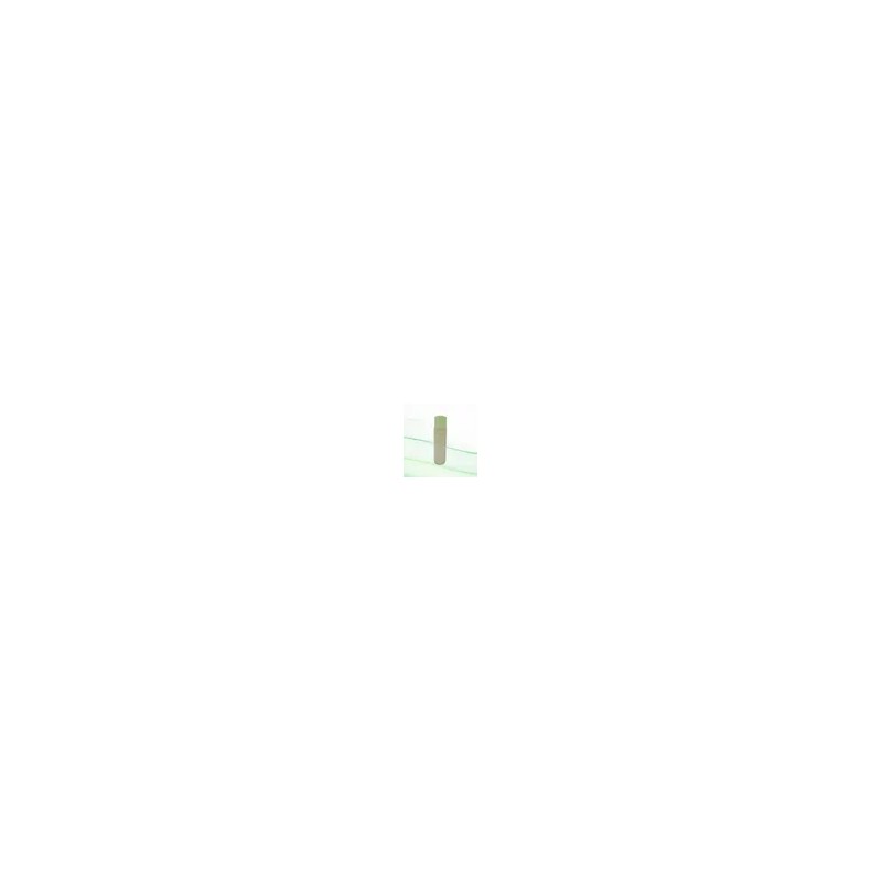 아비브 어성초 카밍 토너스킨 부스터 200ml Abib Mugwort Calming Toner