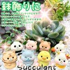 WATASHINO Animal Figurine Miniature Decoration Cat Dog Panda Chick Rabbit