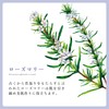 Rosemary (Cineole) NATURELLE Natural Essential Oil (50ml, Commercial Use, Professional