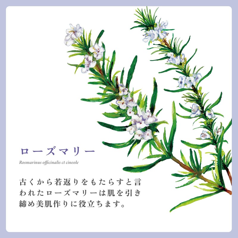 Rosemary (Cineole) NATURELLE Natural Essential Oil (50ml, Commercial Use, Professional