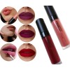 Kit De 10 Labiales Liquidos Colorton Indeleble Gloss Matte