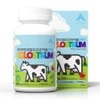 Life N Real Choyu Chewable Plus 120 tablets 1 bottle, 1 piece / 라이프엔 리얼초유츄어블 플러스 120정 1병, 1개