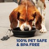 Bonza Large Foldable Dog Bowl 1000 ml Sturdy Reinforced Rim