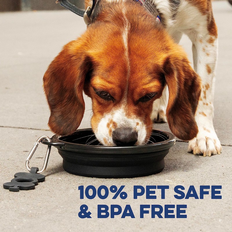 Bonza Large Foldable Dog Bowl 1000 ml Sturdy Reinforced Rim
