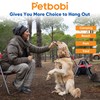 Petbobi Dog Tie-Out Cable and Stake - Heavy Duty Anti
