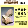 [Natural] CoroCorosoil, Value Pack, 17.6 oz (500 g), Refill, Deodorizer,