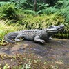 Call of the Wild HomeStyles 99750 Alligator 22" L Natural
