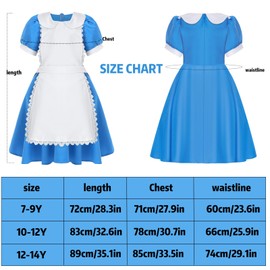 shengo Blue & White Pinafore Dress, World Book Day Girls Costume, Wonderland Princess Costume Apron dress Childs World Book Day Book Week Fancy Dress Costume (7-9Y)