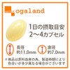 オーガランド (ogaland) ビフィズス菌 (3個セット / 約3ヶ月分) トイレ習慣をサポート (美容サポート/健康サポート) ガラクトオリゴ糖/腸活