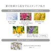 NaturalGlasse UV Powder Compact ML 2026 SPF50+ PA+++ Mint Lemon