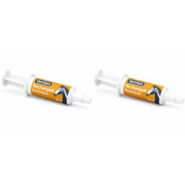 VetSet RechargeR Horse Electrolyte Paste 2 x 30ml Syringes