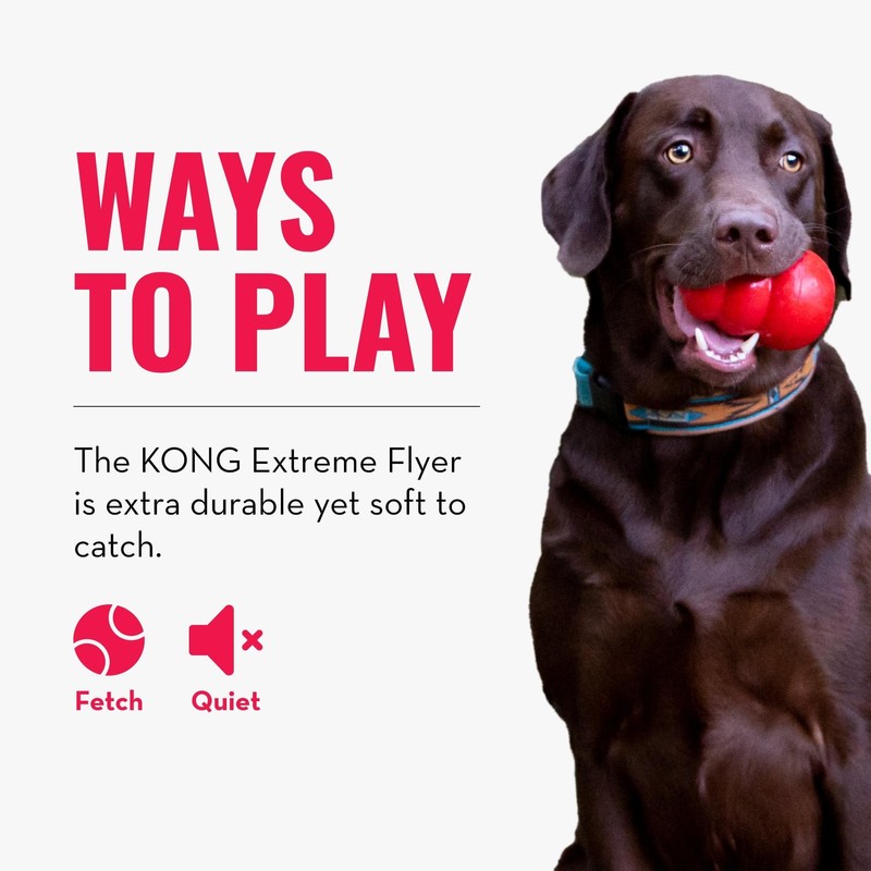 KONG Extreme Flyer - Dog Toy Supports Healthy Exercise -