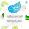 Shampoo y tónico de bergamota | detiene la caída de