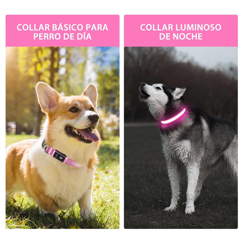 PcEoTllar Light up Dog Collar for Night Walking - LED
