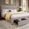 GarveeHome Upholstered Queen Bed Frame with 2 Storage Drawers, Velvet
