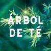 Jabón De Cúrcuma Jengibre Y Árbol De Té Extractos Naturales