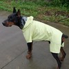 Four-Legged Full Coverage Waterproof Dog Raincoat with Reflective Features Pet