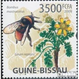 Prophila Collection Guinea-Bissau 4467 (kompl. Ausgabe) postfrisch ** MNH 2009 Bienen und Blumen (Briefmarken für Sammler) Wirbellose Tiere Sonstige (Insekten, Schnecken, Bienen …)