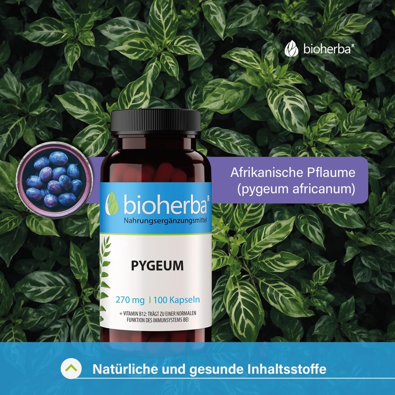Pygeum (bark), Pygeum africanum, Bioherba, 100 capsules х 350 mg