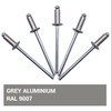 SKIR'CO (Pack of 100) Blind Rivets Painted 3.2 x 8