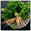 Everwilde Farms - 1/4 Lb Hamburg Rooted Parsley Seeds -
