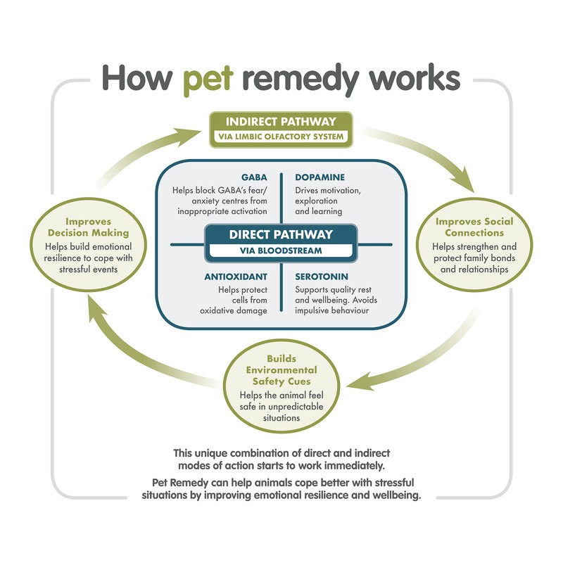 Pet Remedy Natural De Stress & Calming 120 Day Starter